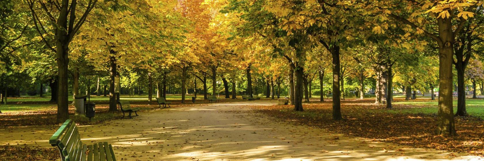 Großer Tiergarten